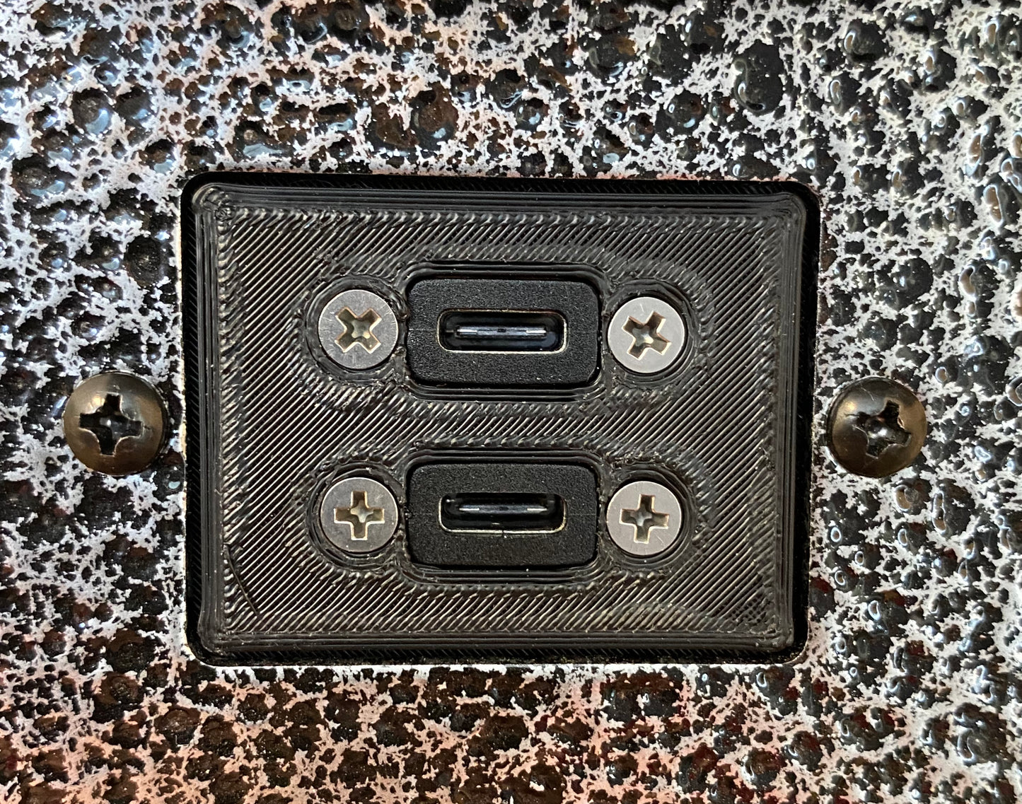 USB-C Dual Faceplate