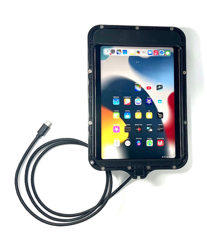 iPad Mini