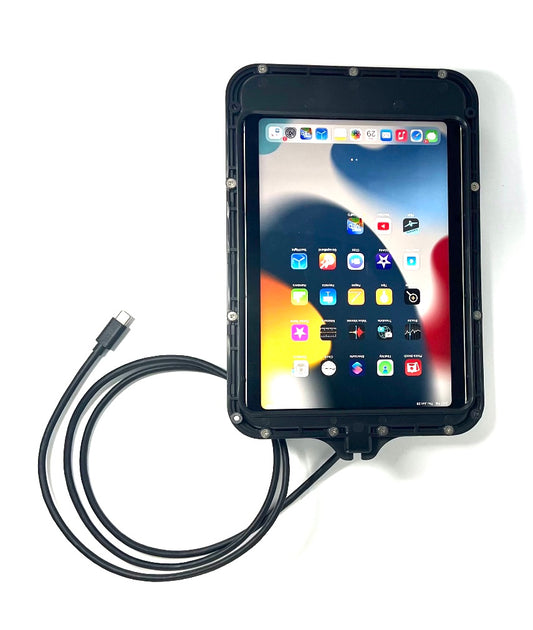 iPad Mini